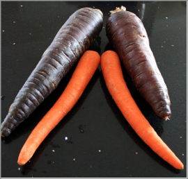 zanahorias moradas